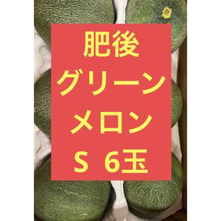 肥後グリーンメロン　S    6玉(フルーツ)