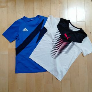 アディダス(adidas)のスポーツウェア　150　半袖　Tシャツ　adidas　puma(ウェア)