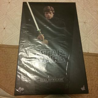 Hot Toys - ホットトイズ スターウォーズ 1/6 ルーク・スカイ
