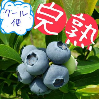 限定価格！　完熟　生ブルーベリー【L〜2L】900g(180g✕5p)(フルーツ)