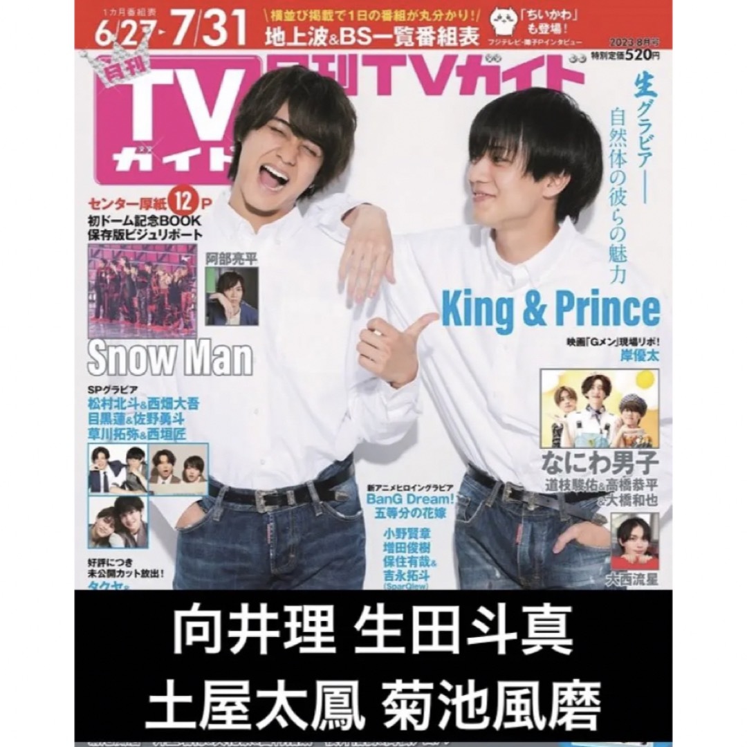 月刊TVガイド 2023.8 向井理 生田斗真 土屋太鳳 菊池風磨 切り抜き エンタメ/ホビーの雑誌(アート/エンタメ/ホビー)の商品写真