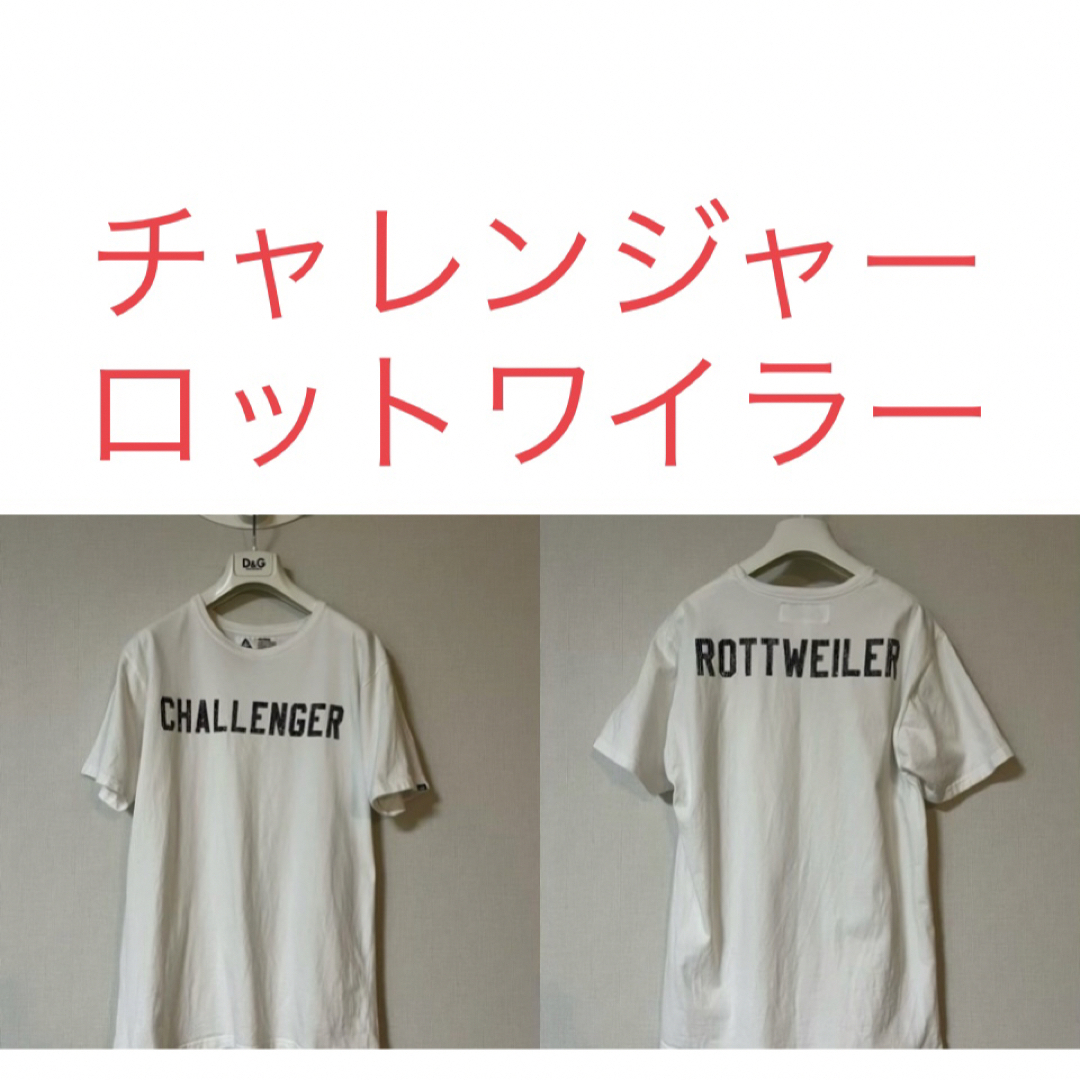希少!激レアコラボ CHALLENGER×ROTTWEILER Tシャツ