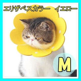 イエロー Mサイズ　エリザベスカラー 花　ペット　犬 猫 兼用　術後　介護用(猫)