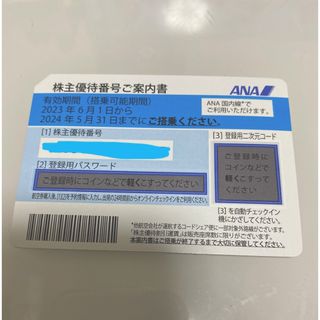 エーエヌエー(ゼンニッポンクウユ)(ANA(全日本空輸))のANA 全日空　株主優待券(その他)