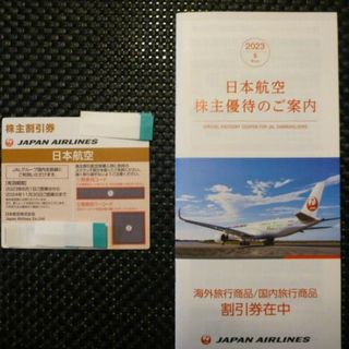 JAL 日本航空　株主優待券 1枚　有効期限　2024年11月30日(航空券)