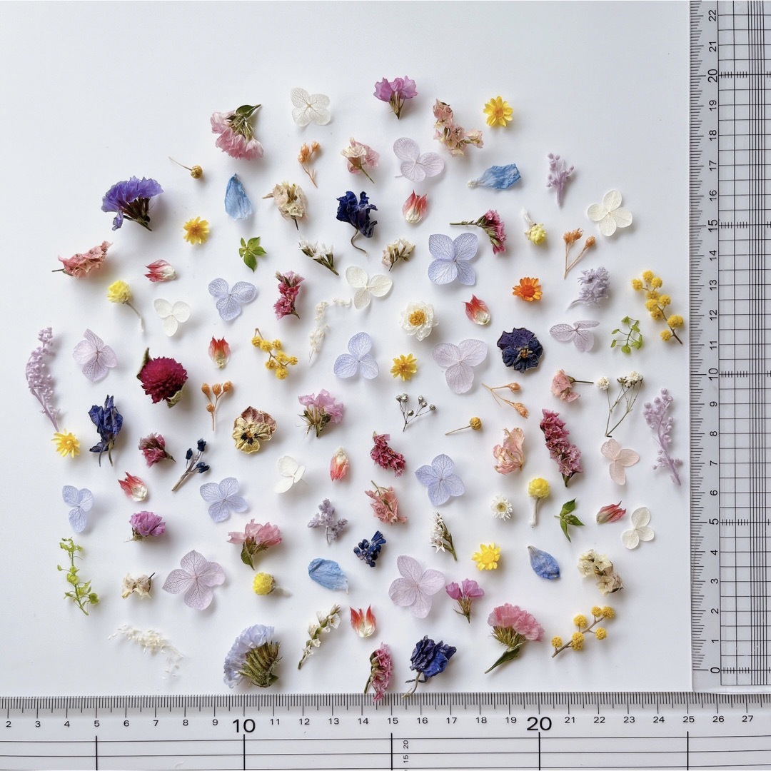 花材　ドライフラワー  小花 ハンドメイドの素材/材料(各種パーツ)の商品写真
