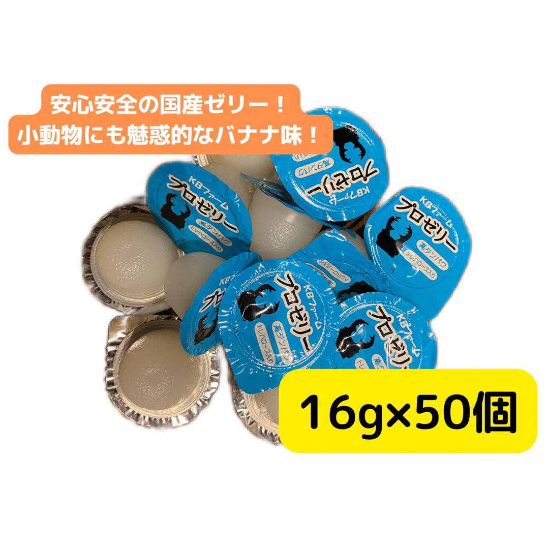 プロゼリー 50個 KBファーム 日本製 国産 昆虫 小動物