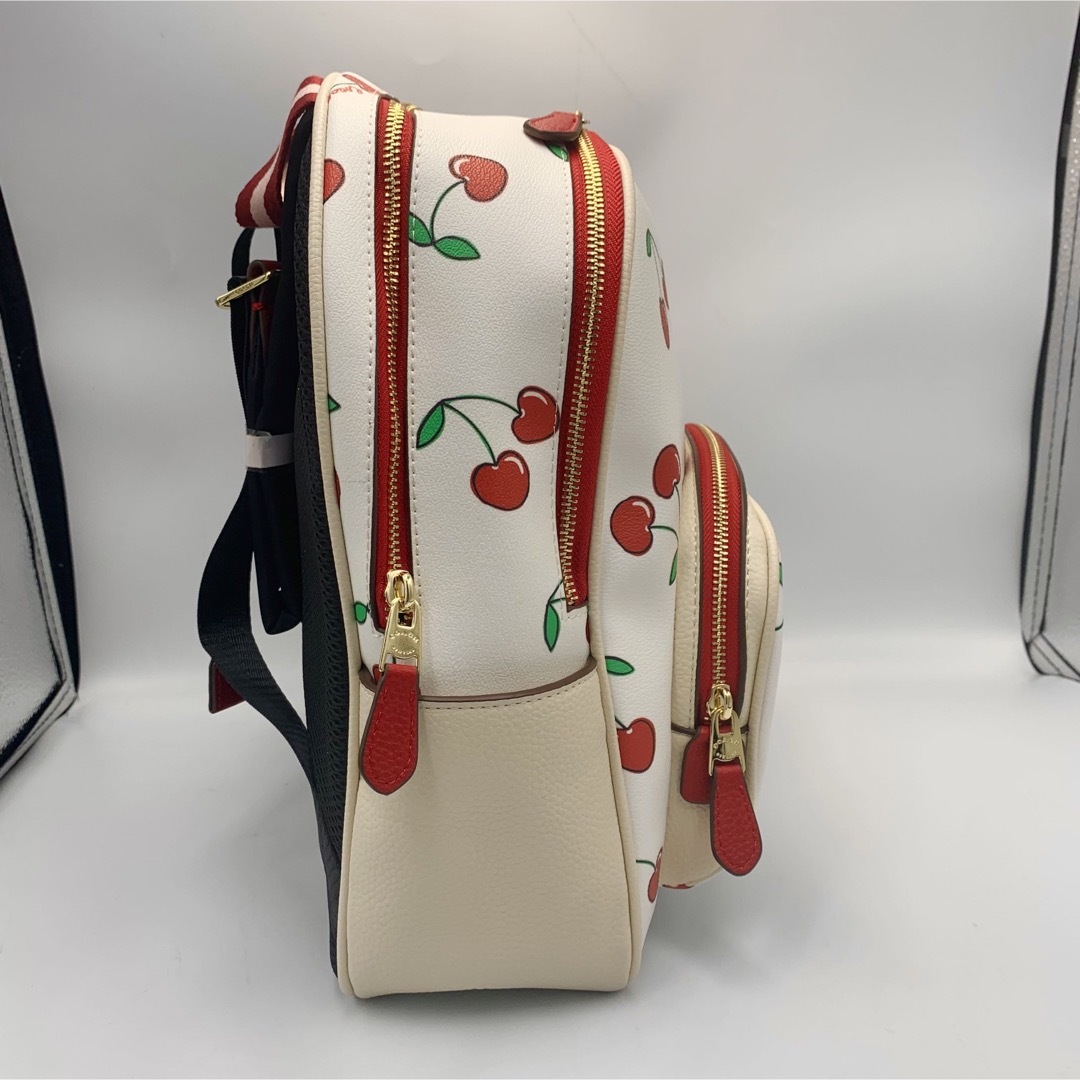 www.haoming.jp - 《新品未使用》《値下げ可》《人気》コーチ リュック