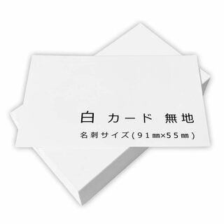 【色: 100枚】ペーパーエントランス ホワイト メッセージ カード 100枚 (その他)