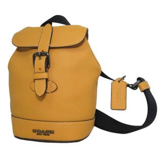 販売販売品 - らいおんさん専用COACH ボディバッグ 新品 - 通販