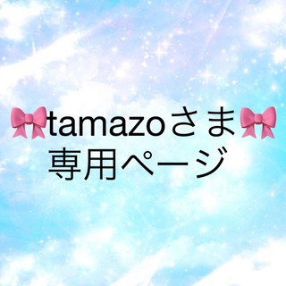 tamazo様　専用ページ　ハリネズミ(置物)