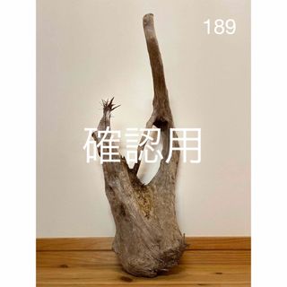 流木【189】(置物)