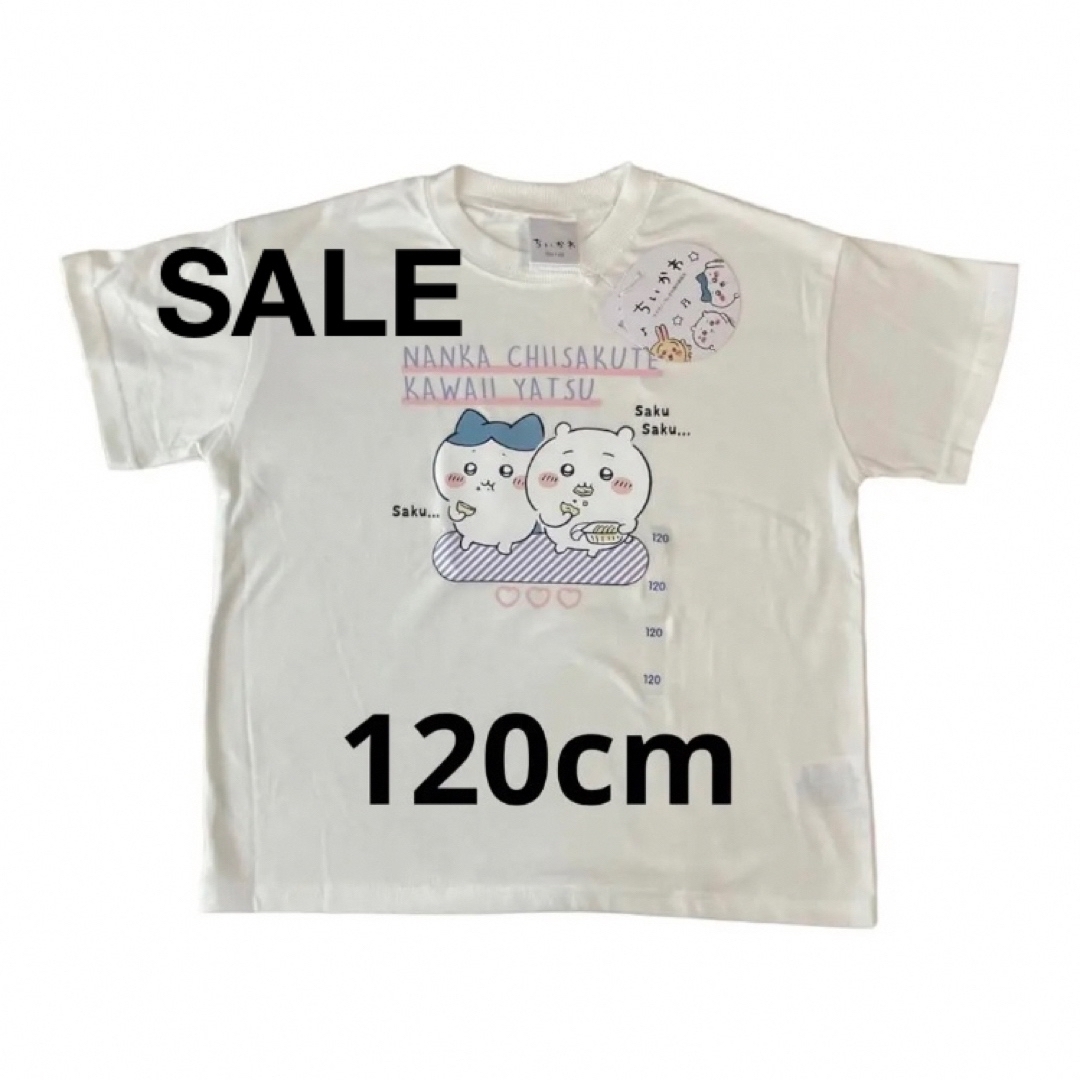 Lサイズ パツワレ Tシャツ