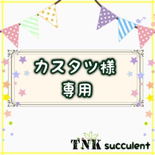 ★カスタツ様専用★ 選べる♪【多肉植物カット苗２種セット】(その他)