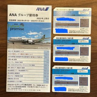 エーエヌエー(ゼンニッポンクウユ)(ANA(全日本空輸))の★3枚★ANA　全日空　全日本航空　株主優待券　アナ(航空券)