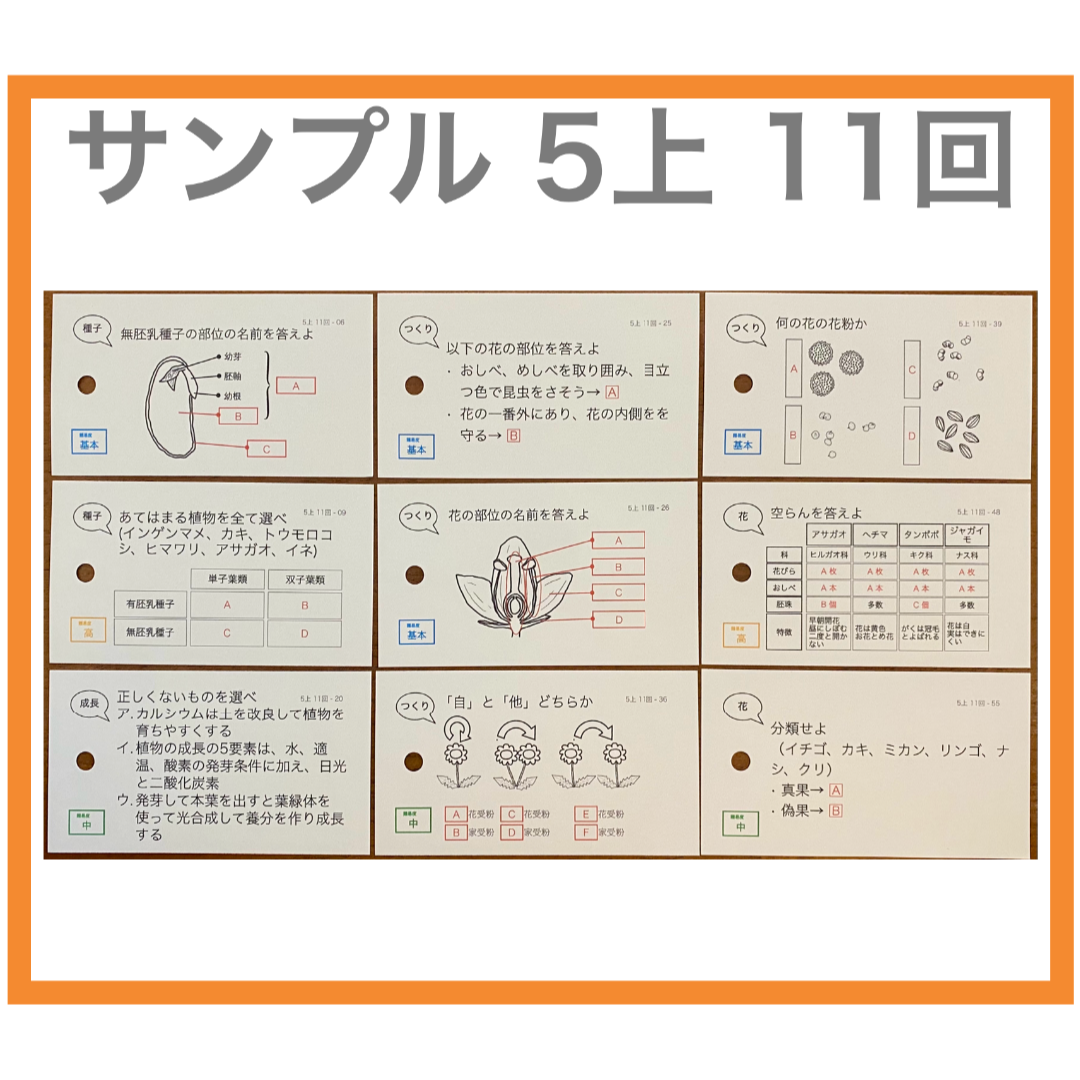 中学受験【6年上 社会・理科全セット1-17回】暗記カード 予習シリーズ 組分け