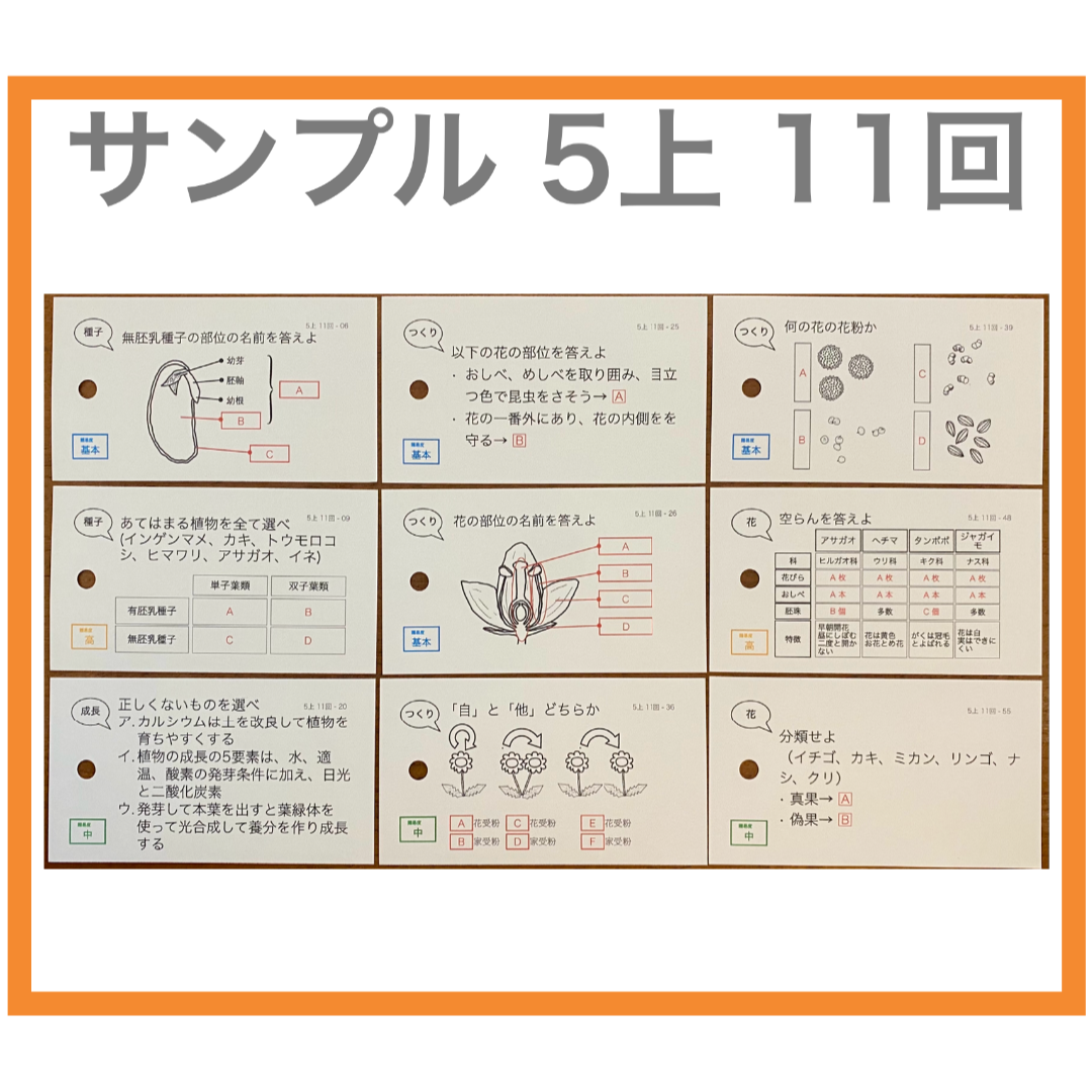 中学受験【5年上 社会 全セット 1-19回】組分けテスト対策 予習シリーズ-