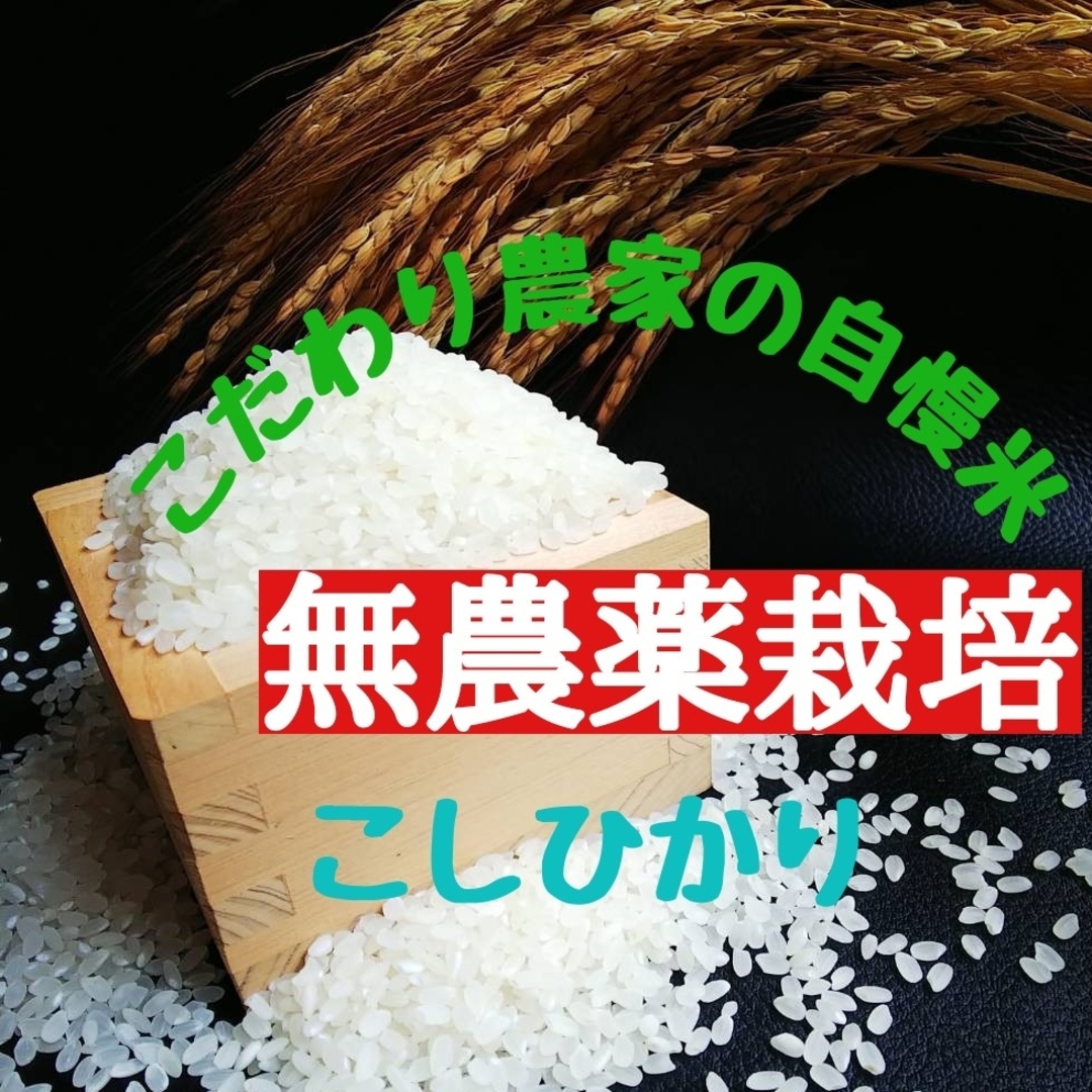 新米玄米令和5年産 完全無農薬栽培 兵庫県三田産 コシヒカリ 20kg 送料