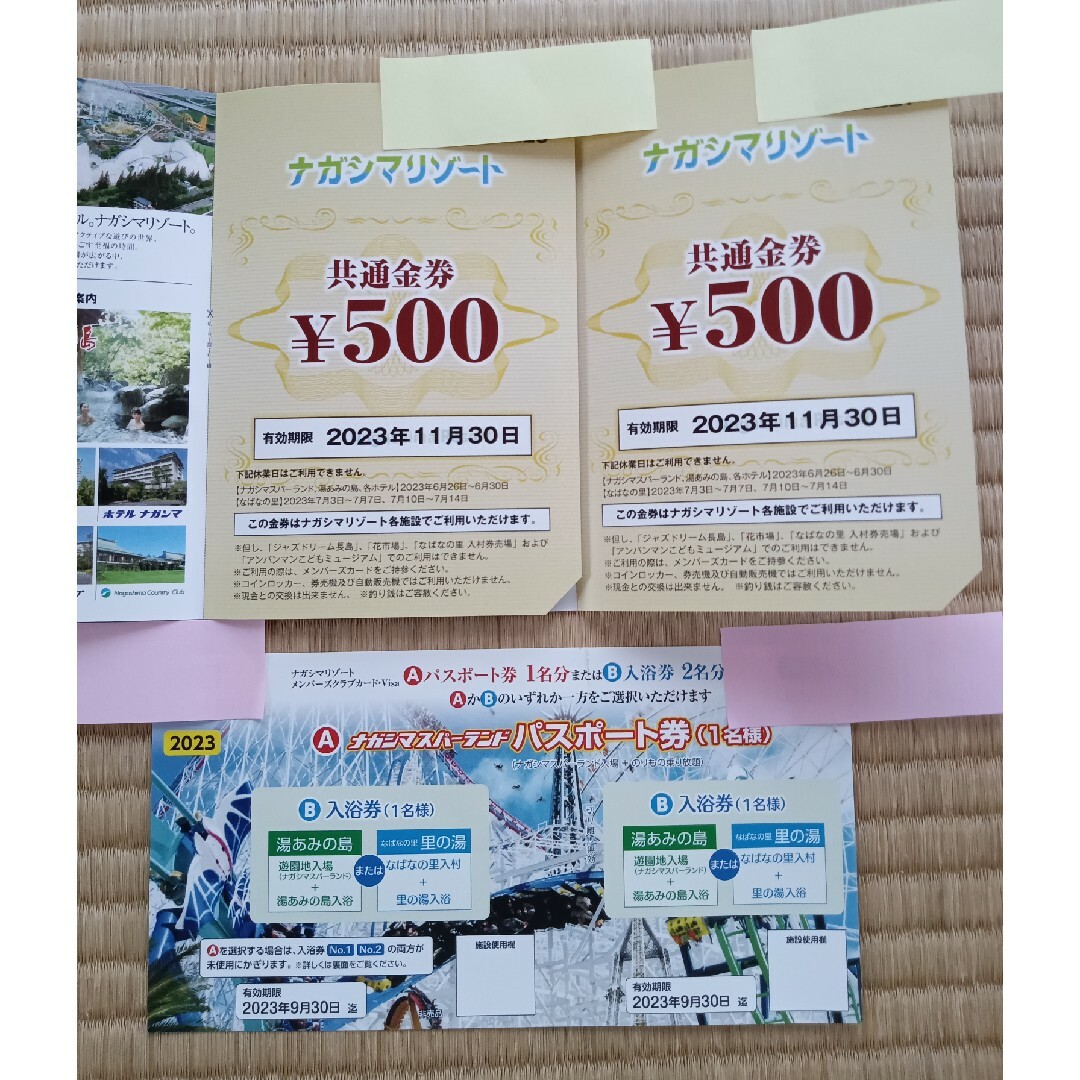 ナガシマスパーランド　パスポート　金券1000円