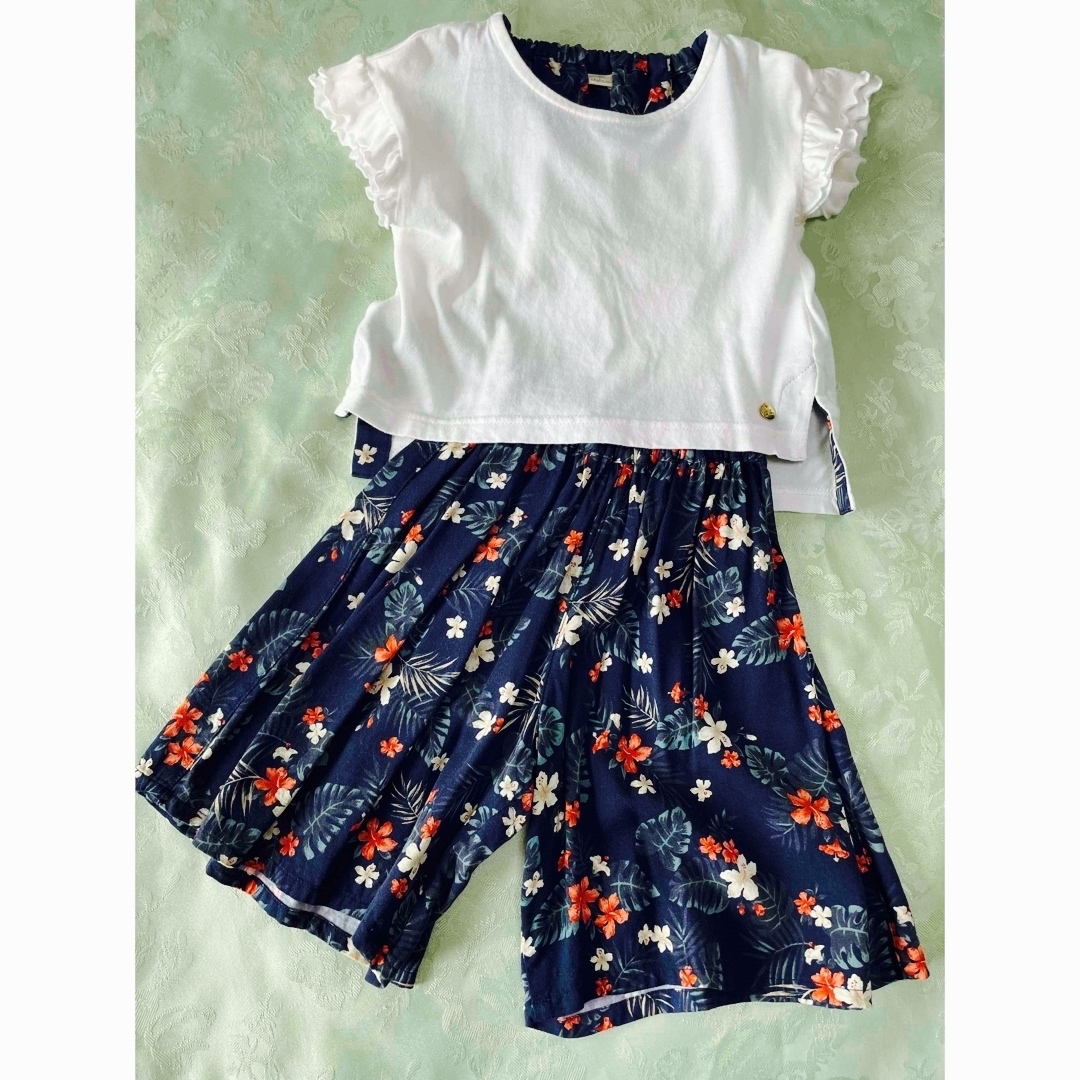 ドルチーナ　半袖トップスとボタニカル柄ボトムのセットアップ キッズ/ベビー/マタニティのキッズ服女の子用(90cm~)(Tシャツ/カットソー)の商品写真