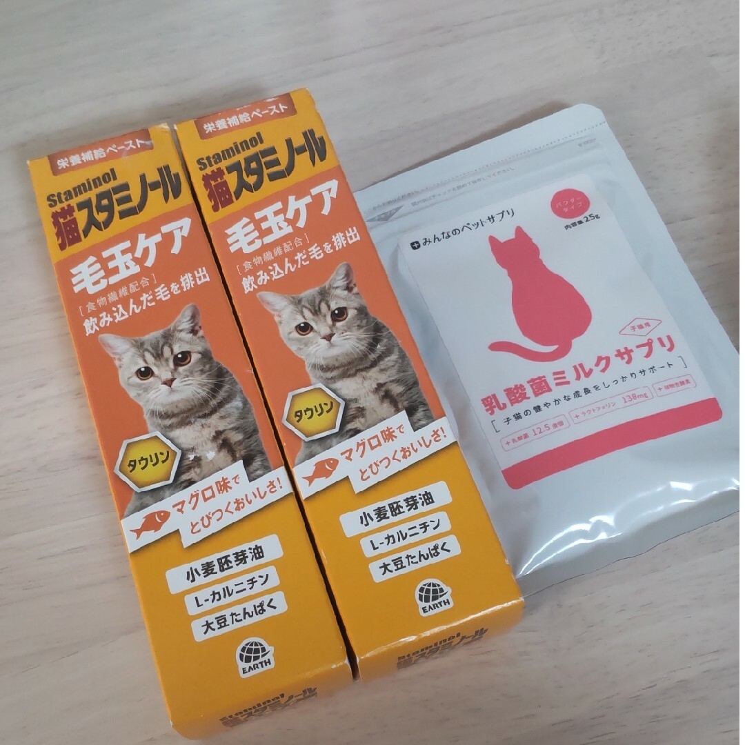 スタミノール2本と乳酸菌サプリ1袋 その他のペット用品(猫)の商品写真