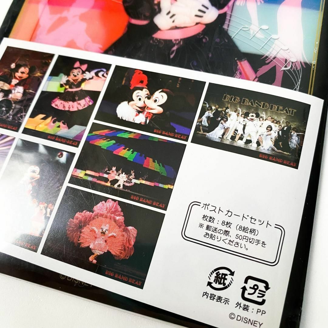【激レア品】ビッグバンドビート 東京ディズニーシー 写真集 ポストカード付き