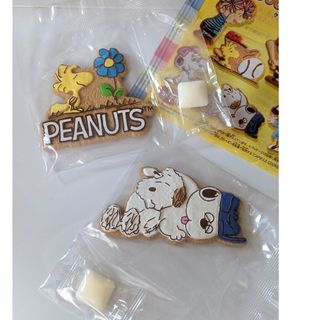 スヌーピー(SNOOPY)のPEANUTS  クッキーマグコット　スヌーピー　マグネット　ウッドストック(キャラクターグッズ)