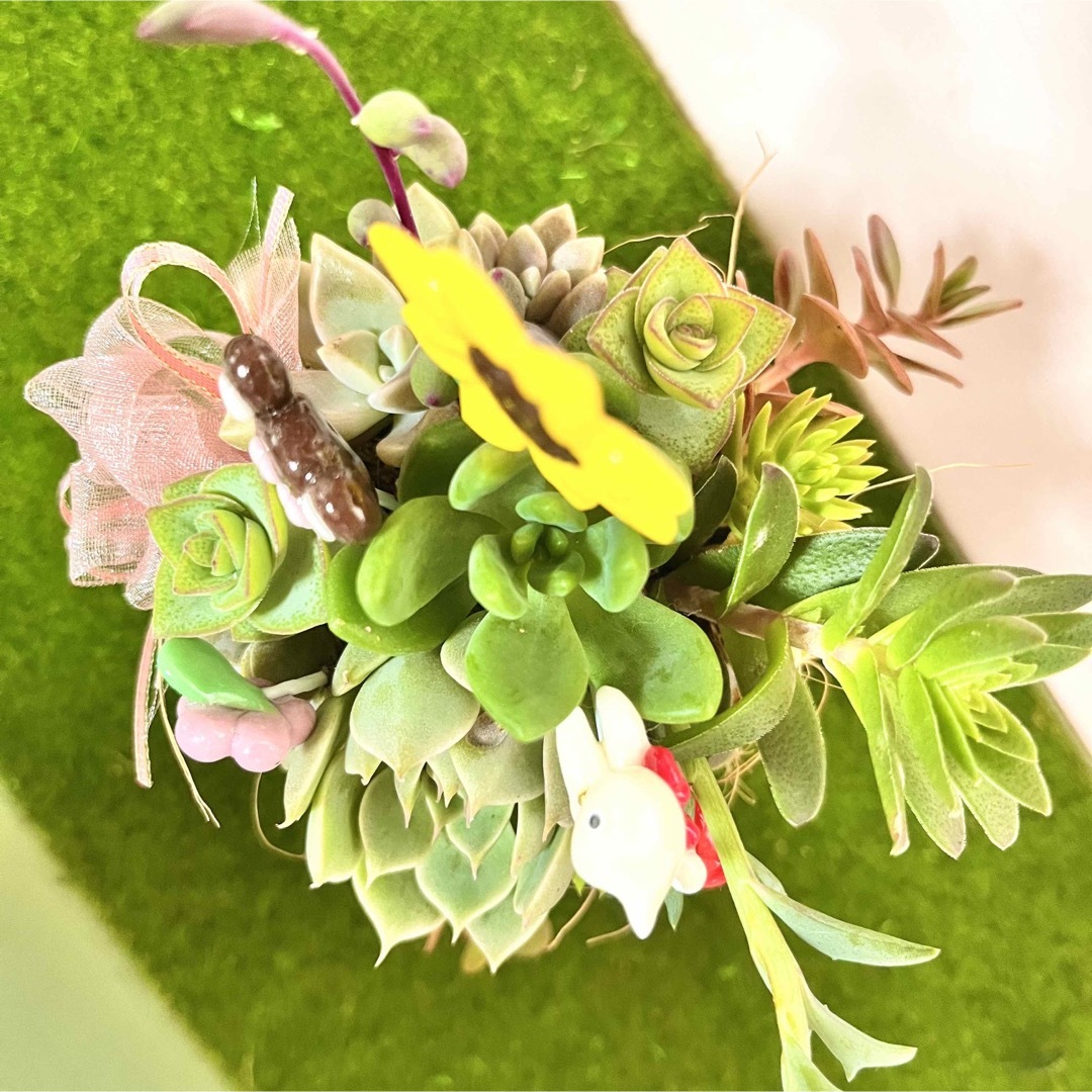 〜そのまま飾れる〜多肉植物寄せ植え(樹脂粘土レジン)粘土細工
