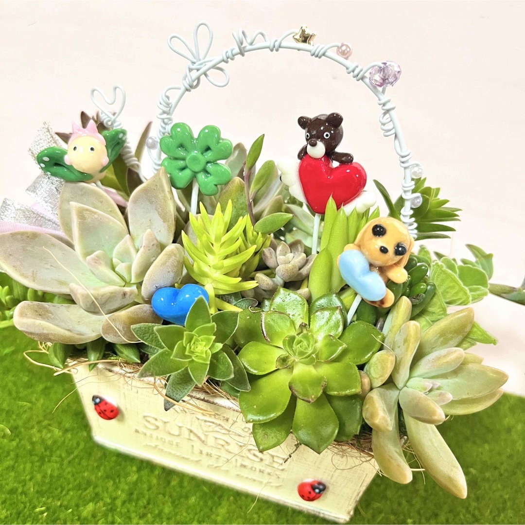 〜そのまま飾れる〜多肉植物寄せ植え(ハンドメイド)樹脂粘土レジン