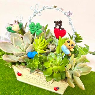 そのまま飾れる〜多肉植物寄せ植え(樹脂粘土レジン)粘土財源の通販 by