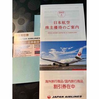 ジャル(ニホンコウクウ)(JAL(日本航空))の日本航空　株主優待　1枚(航空券)