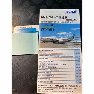 エーエヌエー(ゼンニッポンクウユ)(ANA(全日本空輸))の全日空　株主優待券1枚(航空券)