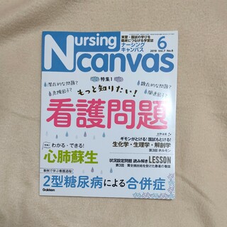 Nursing Canvas (ナーシング・キャンバス) 2019年 06月号(専門誌)