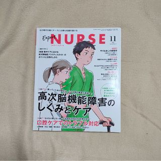 Expert Nurse (エキスパートナース) 2020年 11月号(専門誌)