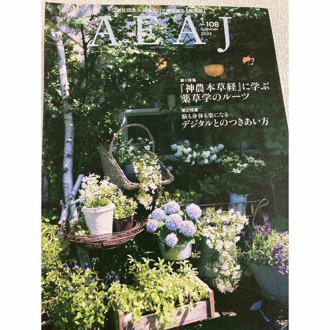 雑誌 エンタメ/ホビーの雑誌(生活/健康)の商品写真