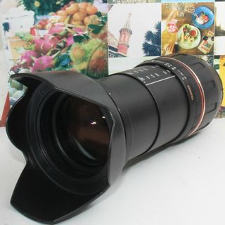 タムロン(TAMRON)の❤️１本で標準から超望遠まで対応❤️タムロン 28-300mm ニコン用❤️(デジタル一眼)