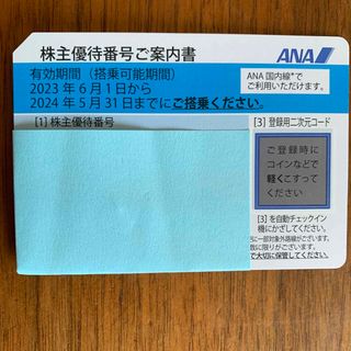 エーエヌエー(ゼンニッポンクウユ)(ANA(全日本空輸))のANA 株主優待1枚(その他)