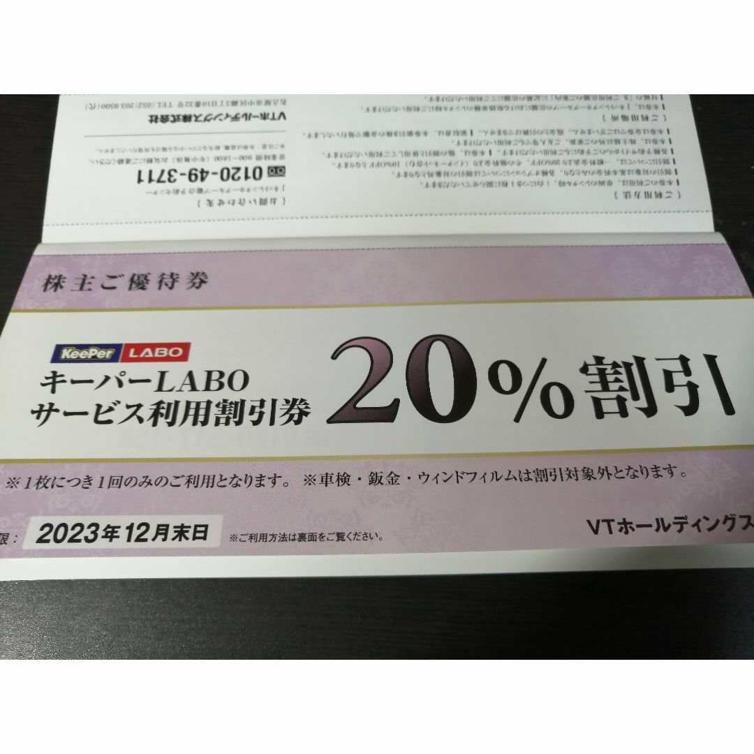 VTホールディングス 株主優待券 1冊 - その他