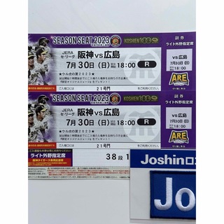 阪神vs広島7/30ライト年間席通路側(野球)