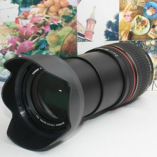 タムロン(TAMRON)の❤️標準から超望遠まで１本で対応❤️Nikon用 タムロン 28-300mm❤️(デジタル一眼)