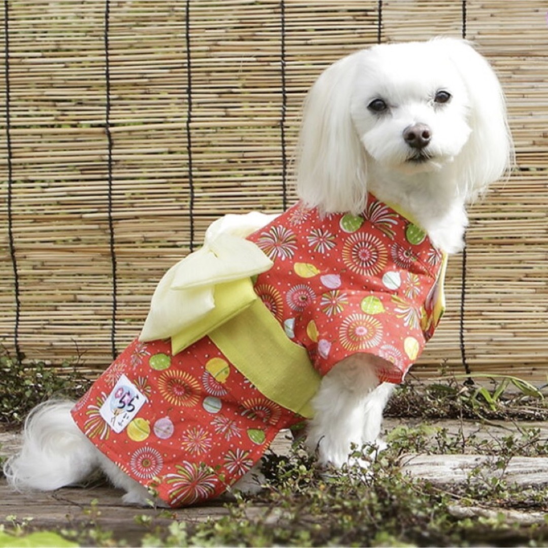 逸品】 ライフライクハーネスリードセット 犬用品 | festivalkolibri.com