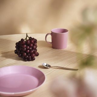 イッタラ(iittala)のイッタラ　ローズ【着払い】(食器)