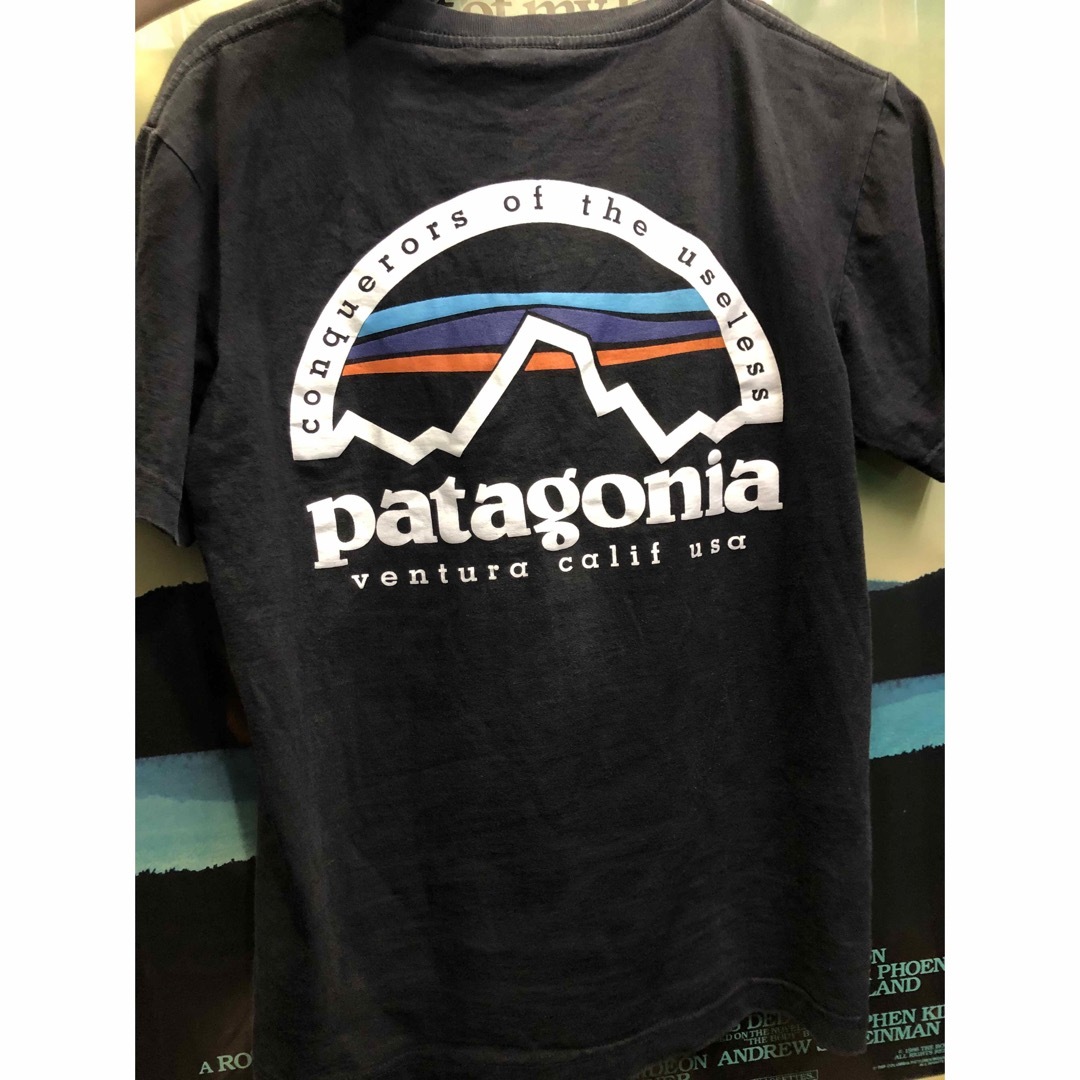 patagonia(パタゴニア)のパタゴニア　Tシャツ メンズのトップス(Tシャツ/カットソー(半袖/袖なし))の商品写真