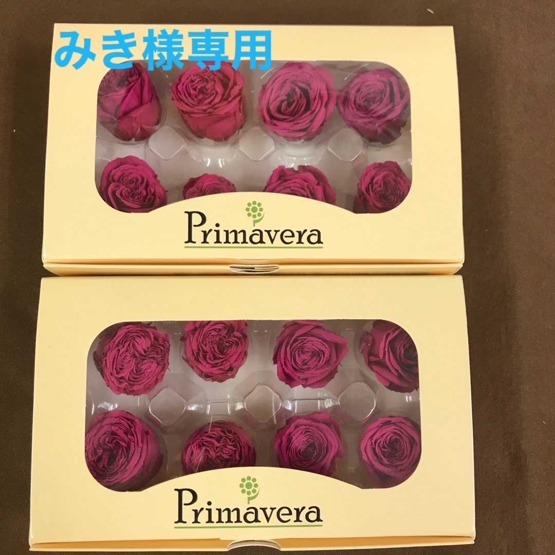 専用ナナガーデンローズのカシスベリーが2箱セットと他 - フラワー