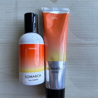 Hoyu - 箱付き バイカルテ シャンプー&トリートメントセット CH MSの