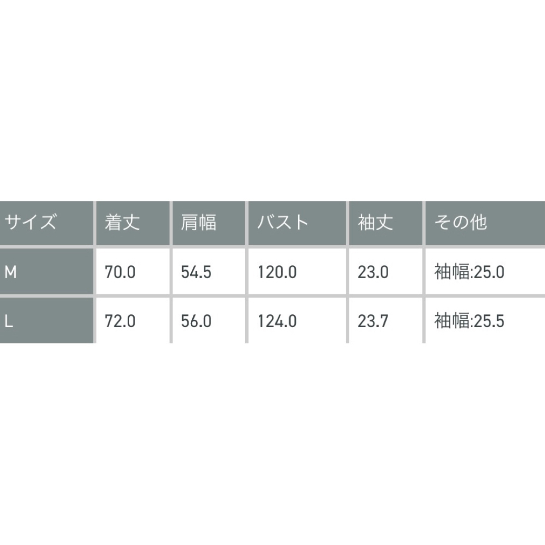 BIOTOP 別注 限定 ブルックスブラザーズ モックネック Tシャツ 黒 M 4