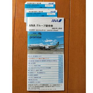 ANA 全日空 株主優待券2枚(航空券)