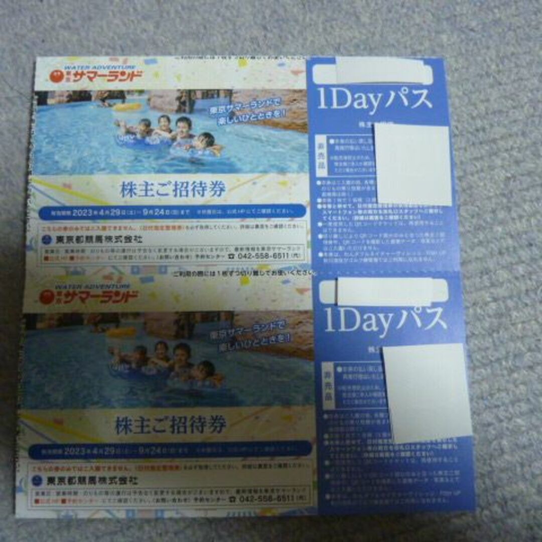 複数可2枚 東京サマーランド 株主ご招待券 1DAYパス株主優待券 フリー