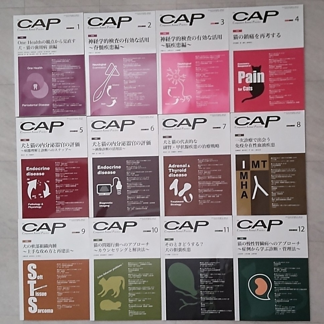 月刊 CAP companion animal practice 2020年