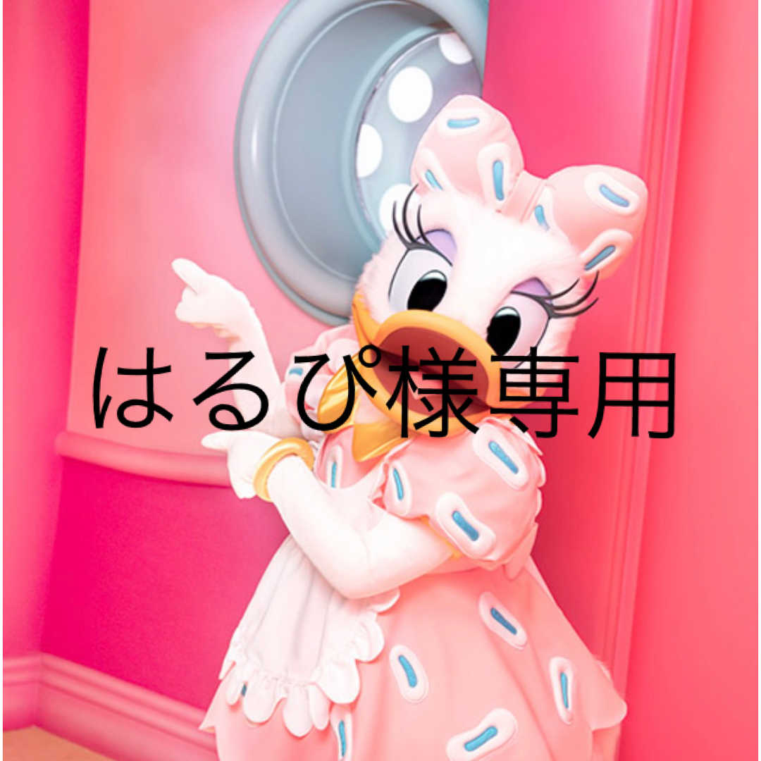 はるぴ様専用ページの通販 by みかん's shop|ラクマ